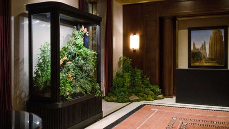 Why JW Marriott is planting edible gardens in every one of its hotels