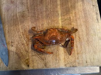 Climate change creating new options for fish lovers who want to “eat local”