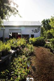 Fifteen Southern Garden Centers and Nurseries We Love