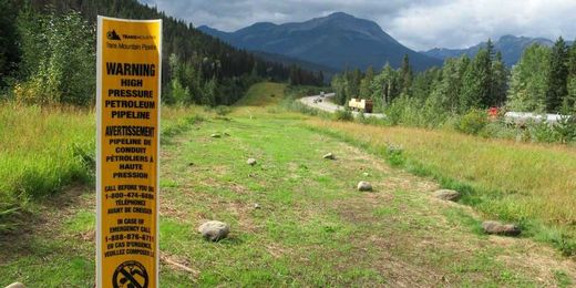 Moving from Land Acknowledgements to healing the land 