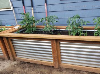 Crop rotation in raised garden beds takes a bit of planning: Ask an expert