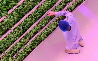 How Cities Can Feed Themselves: A Ten-Point Plan