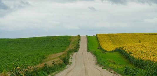 How can you tell which heirs might sell your land?