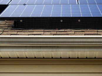 Are Critter Guards Really Necessary?