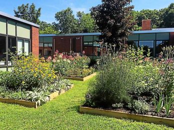 Letter: Learn how to develop a pollinator garden