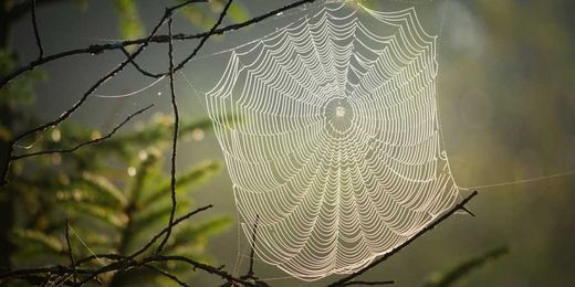 What Does The Sensation Of Feeling A Spider Web On Your Face Mean?