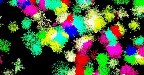 Simple Gene Circuits Hint at How Stem Cells Differentiate