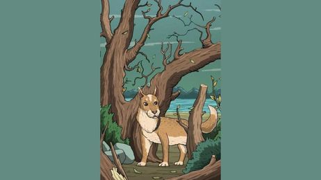 Optical illusion: Can you spot the cat hidden in this picture?