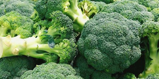 How to Store Broccoli to Keep It Fresh