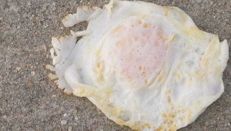 Can you actually fry an egg on the sidewalk? Even in high heat, it's tough