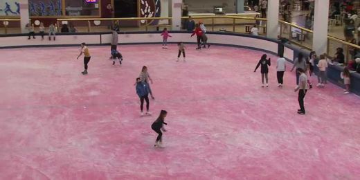 Pink the Rink returns to Dimond Center