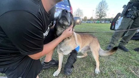 K-9 Huk, who was shot in line of duty, spotted at soccer match honoring Deputy Joshua Moyers