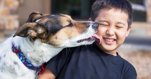 Why Dogs Like to Lick People