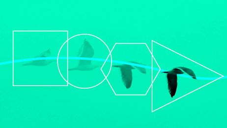 Learn to Get Better at Transitions