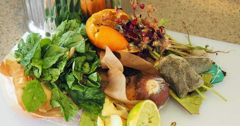 Kitchen Composting 101: 4 Easy Methods to Repurpose Food Scraps